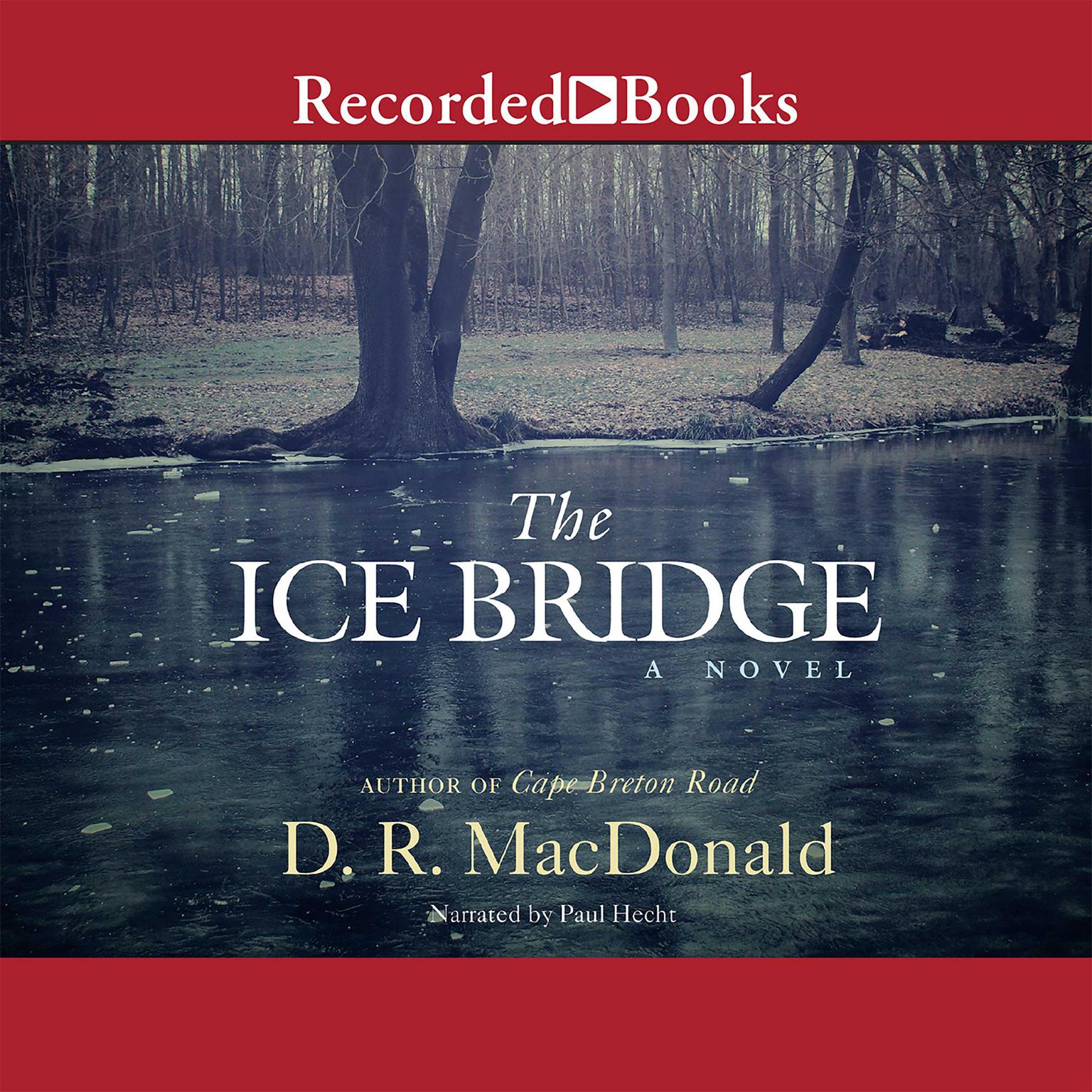 The Ice Bridge Audiobook, by D. R. MacDonald