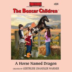 A Horse Named Dragon Audiobook, by Gertrude Chandler Warner