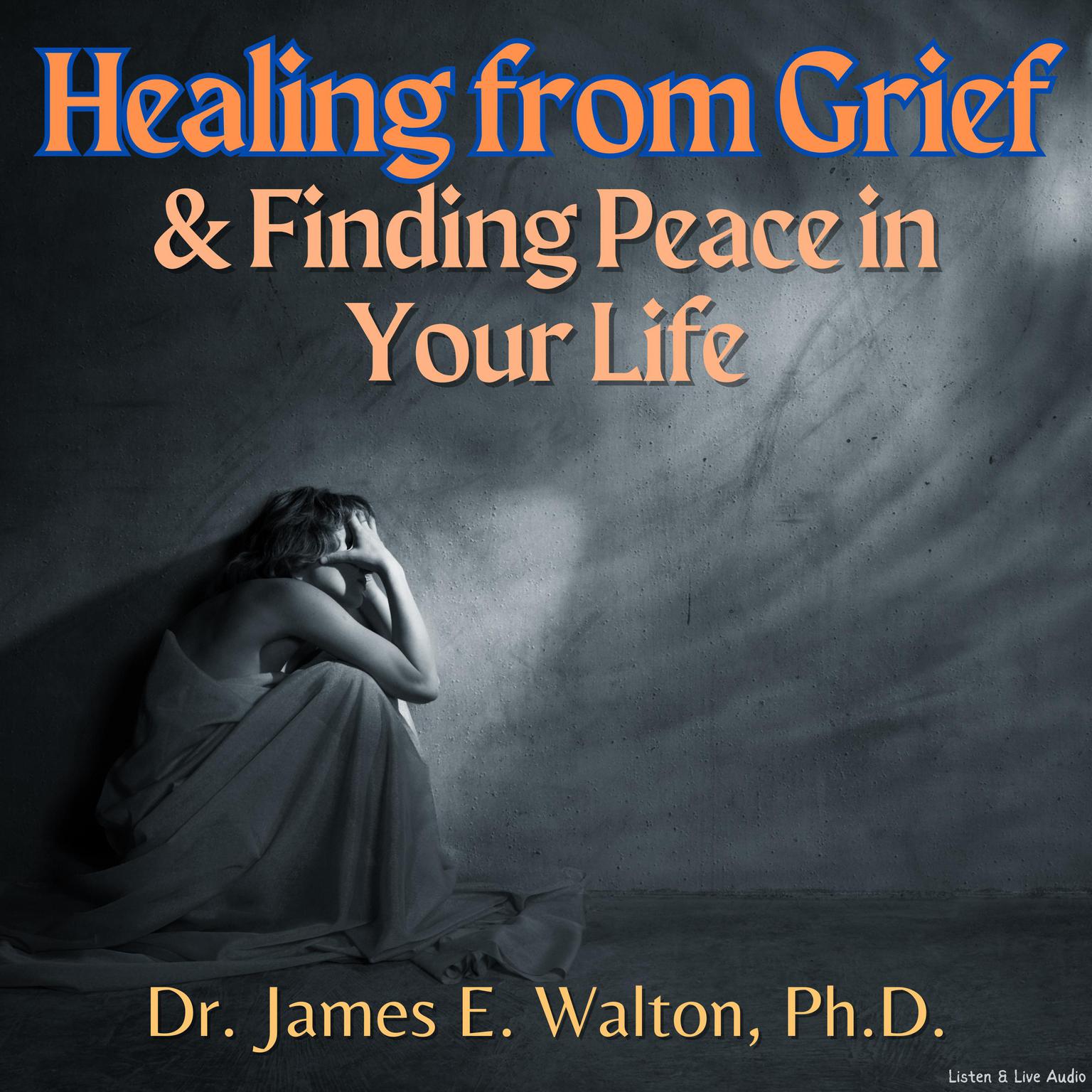 Healing From Grief & Finding Peace In Your Life Audiobook, by James E. Walton