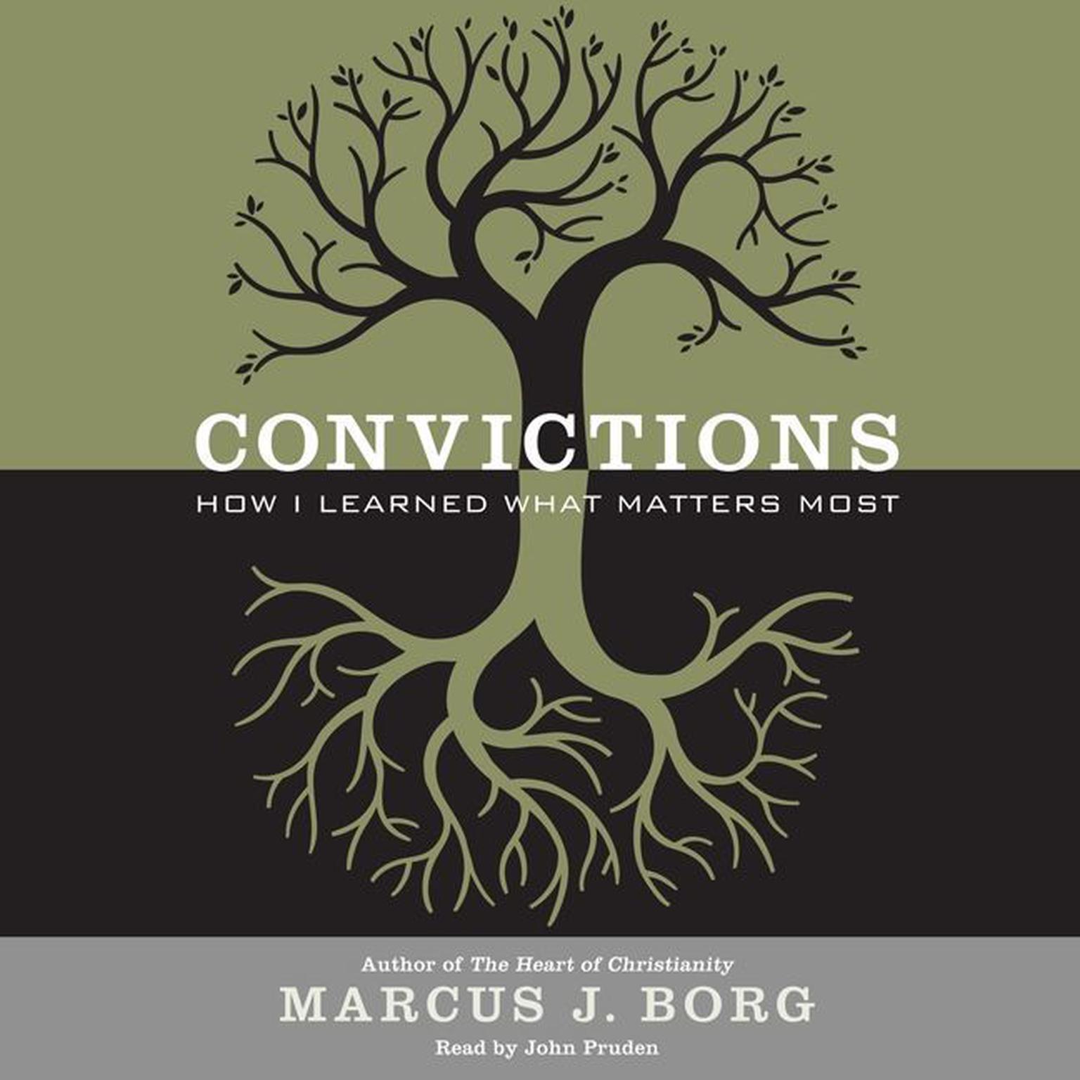 Convictions: How I Learned What Matters Most Audiobook, by Marcus J. Borg