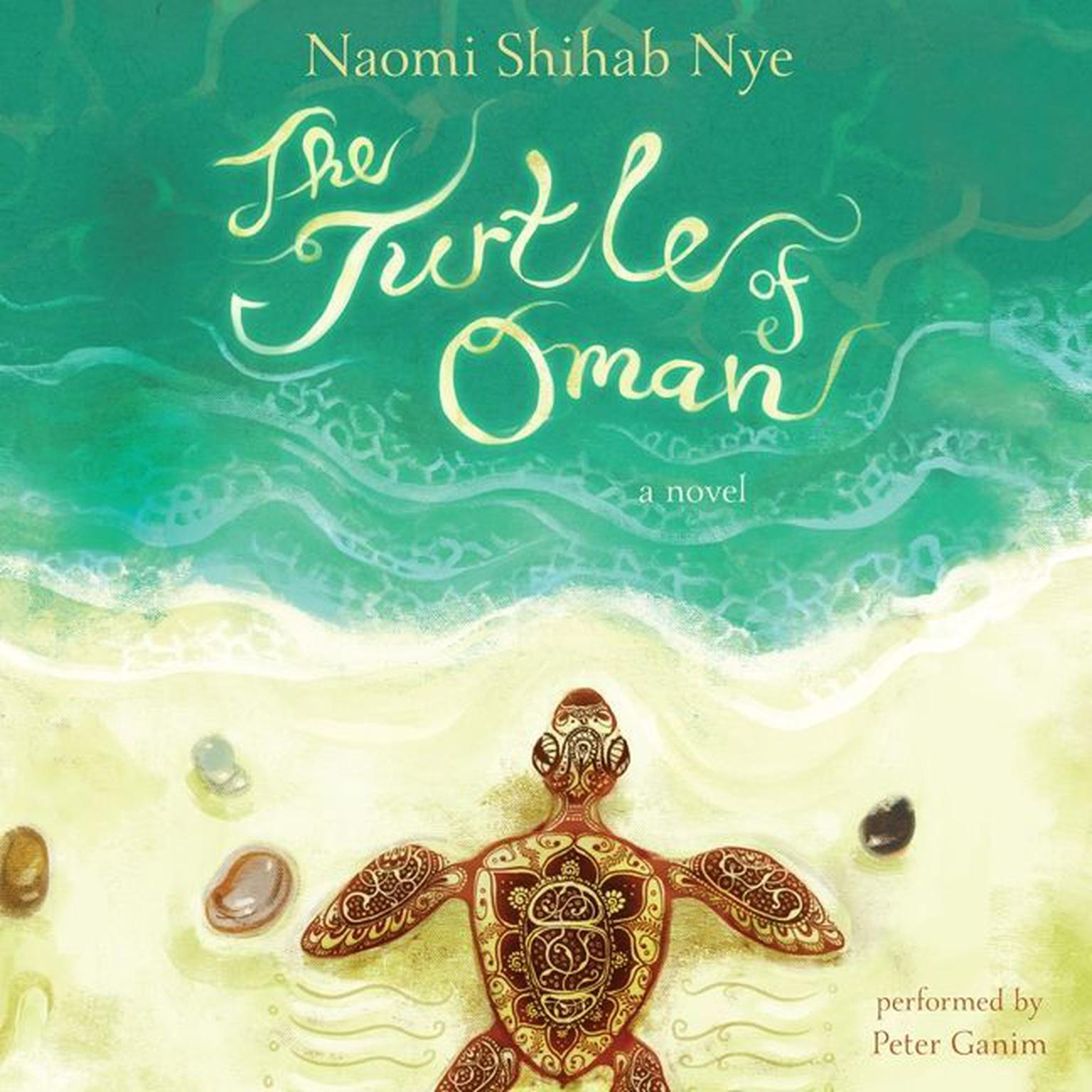 the turtle of oman by naomi shihab nye