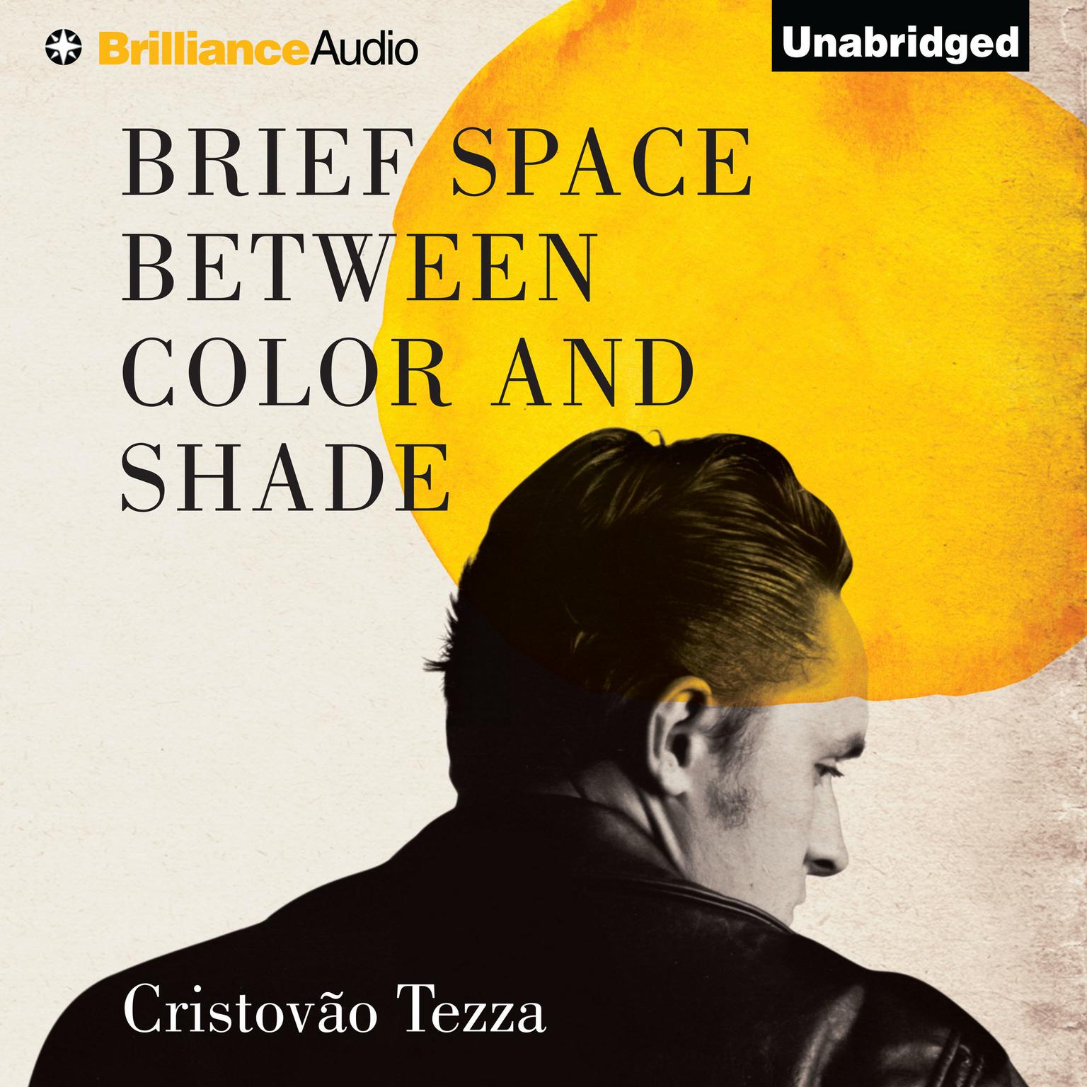 Brief Space Between Color and Shade Audiobook, by Cristovão Tezza