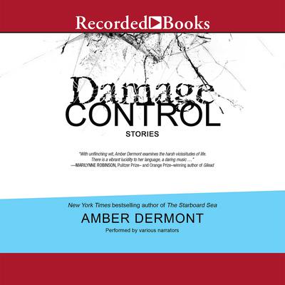 Damage Control: Stories Audiobook, by Amber Dermont