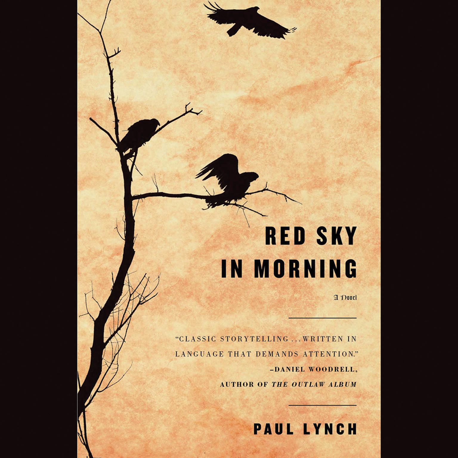 Red Sky in Morning: A Novel Audiobook, by Paul Lynch