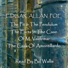 Edgar Allan Poe, Vol. 1 Audiobook, by Edgar Allan Poe