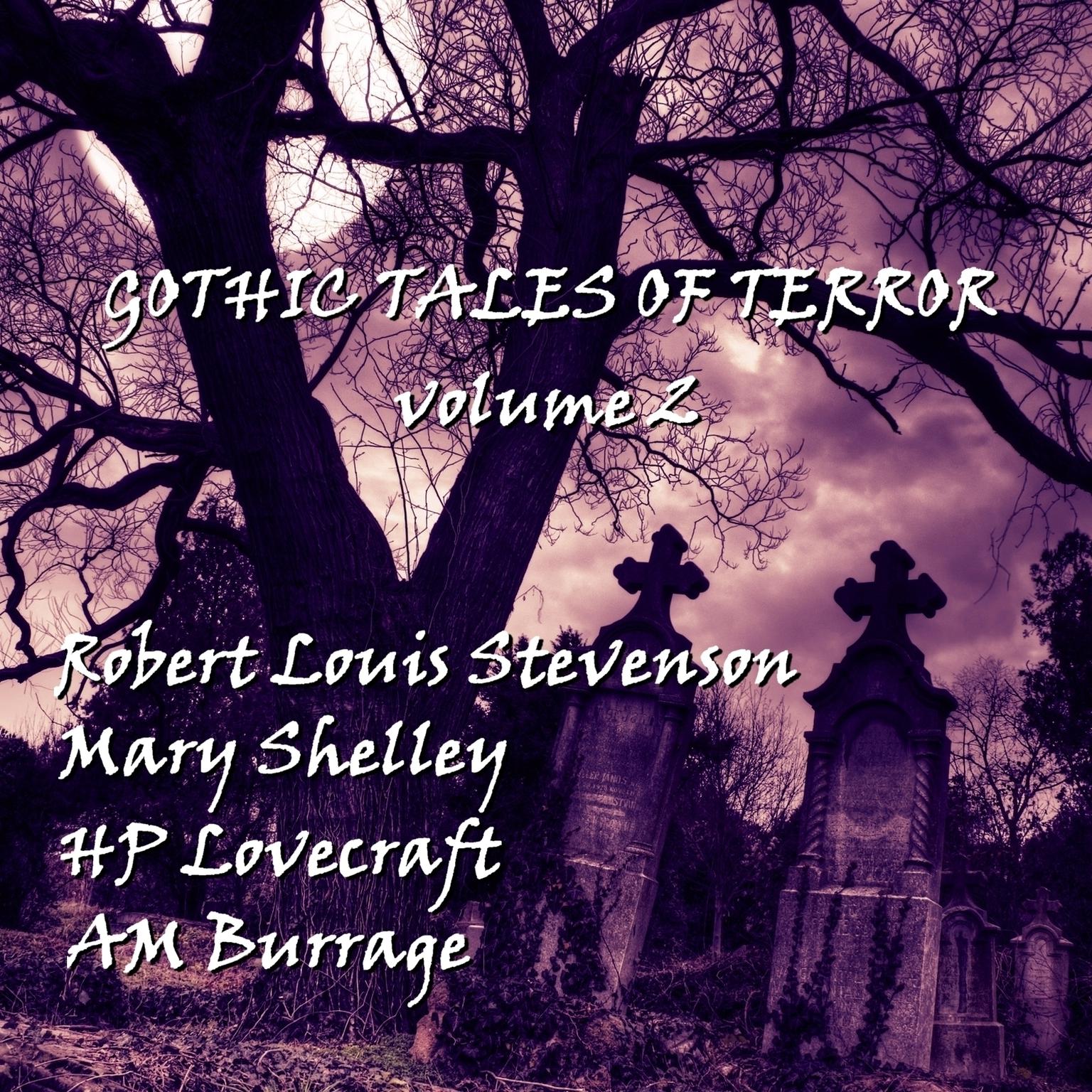 Gothic Tales of Terror, Vol. 2 (Abridged) Audiobook, by various authors