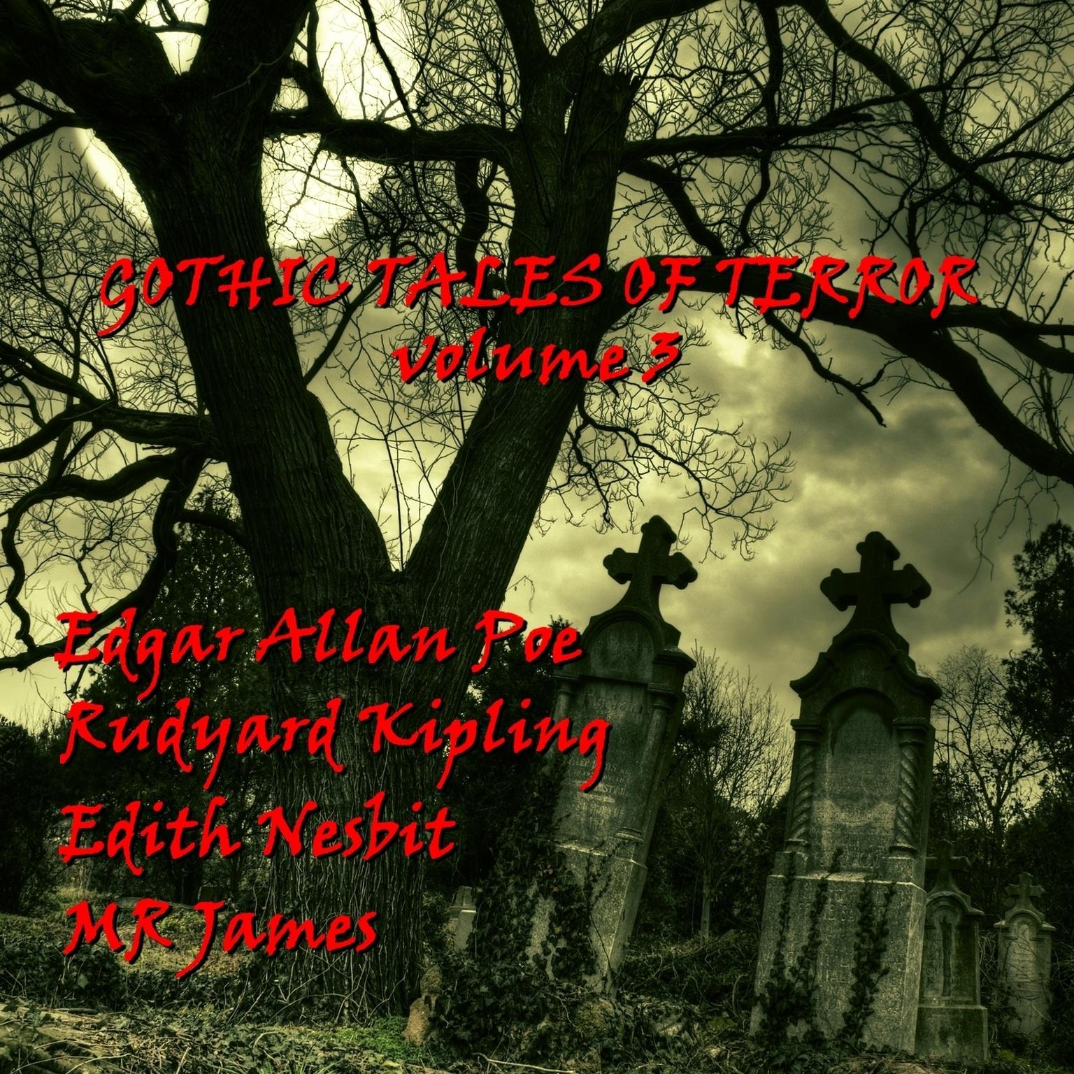 Gothic Tales of Terror, Vol. 3 (Abridged) Audiobook, by various authors