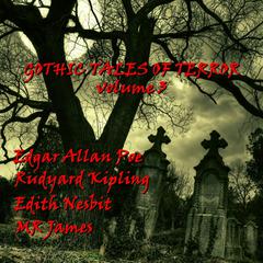Gothic Tales of Terror, Vol. 3 Audiobook, by 