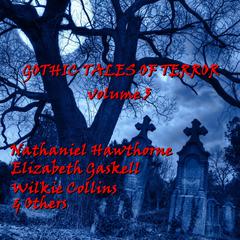 Gothic Tales of Terror, Vol. 5 Audiobook, by various authors