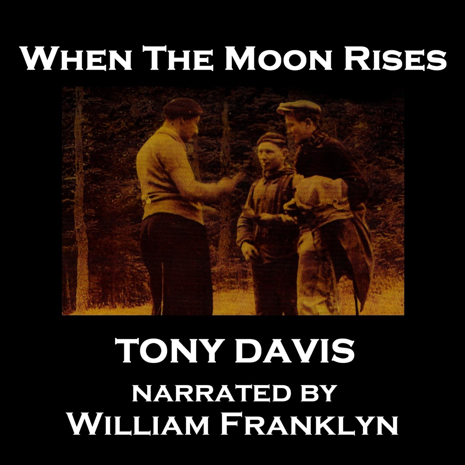 When the Moon Rises (Abridged) Audiobook, by Tony Davies