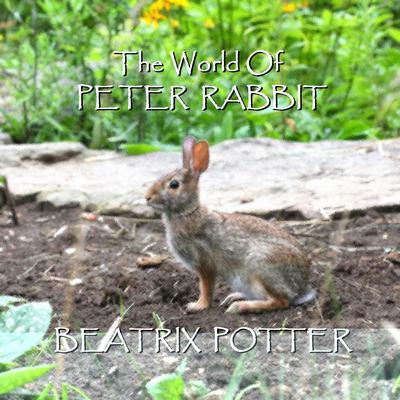 Beatrix Potter: The Short Stories Audiobook, by Beatrix Potter