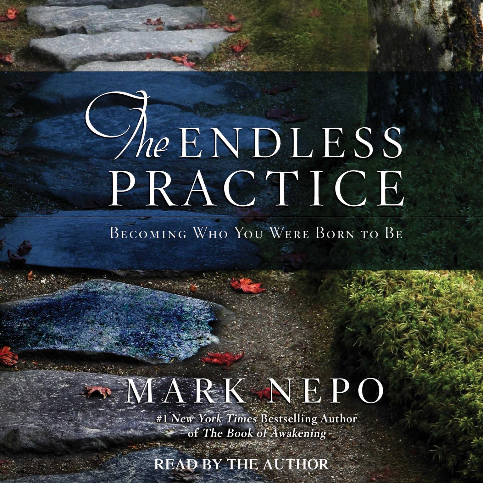The Endless Practice: Becoming Who You Were Born to Be Audiobook, by Mark Nepo