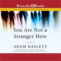 You Are Not A Stranger Here: Stories Audiobook, by Adam Haslett