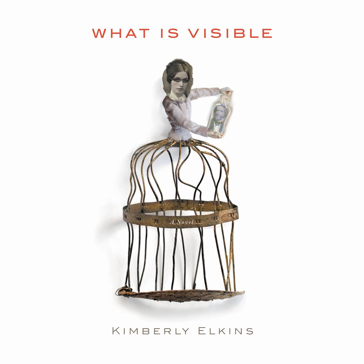 What Is Visible: A Novel Audiobook, by Kimberly Elkins