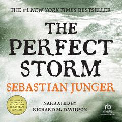 The Perfect Storm: A True Story of Men Against the Sea Audiobook, by Sebastian Junger