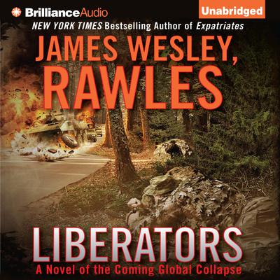 Liberators: A Novel of the Coming Global Collapse Audiobook, by 