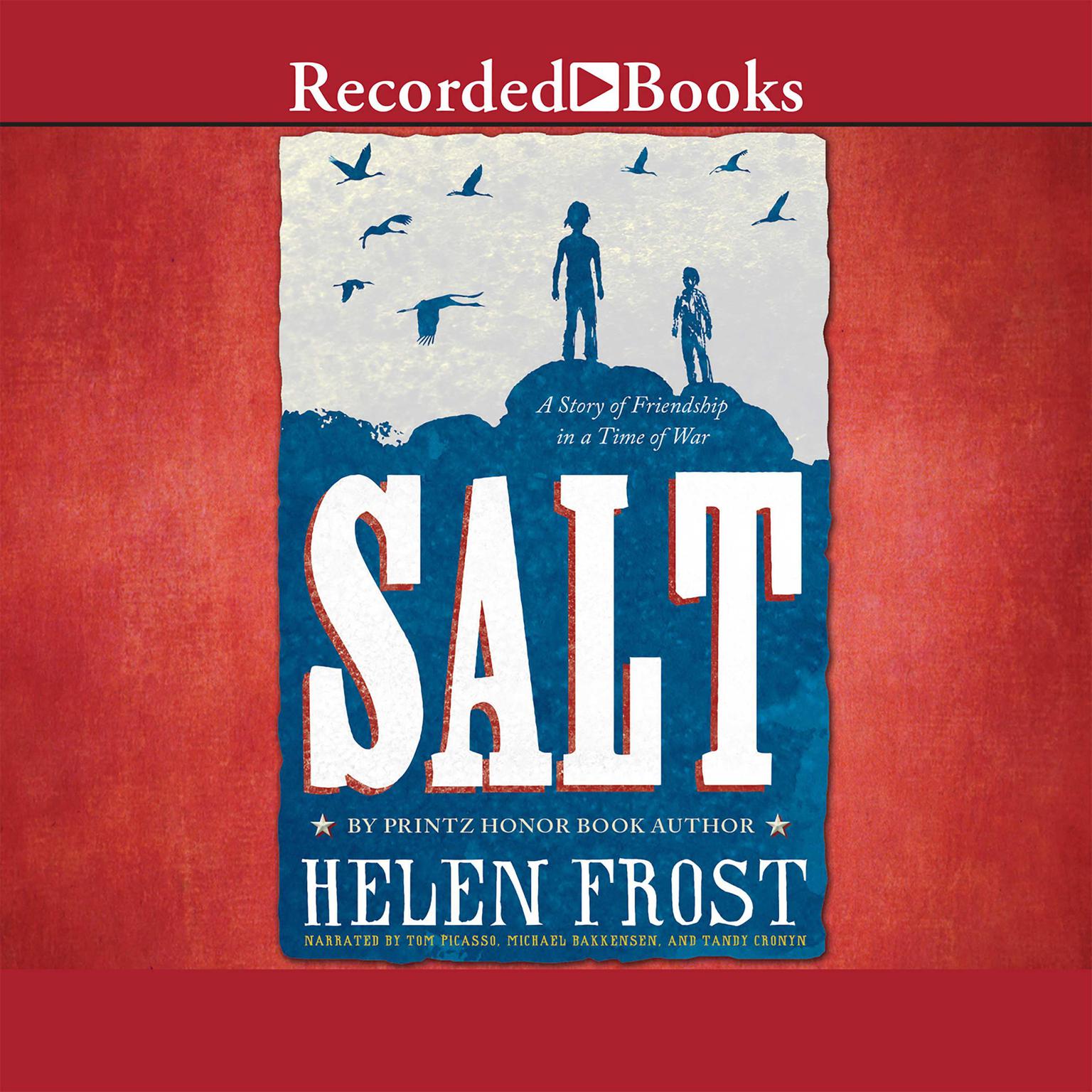 Salt: A Story of Friendship in a Time of War Audiobook, by Helen Frost