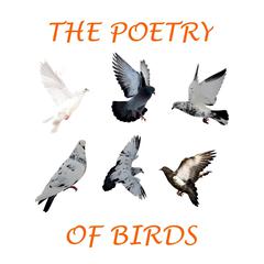 The Poetry of Birds Audiobook, by Percy Bysshe Shelley