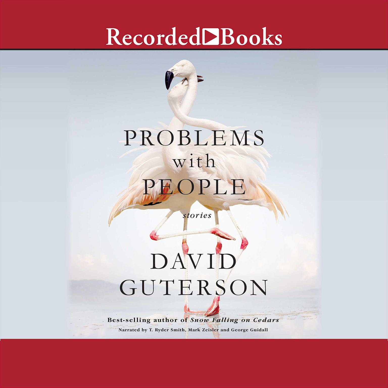 Problems with People: Stories Audiobook, by David Guterson