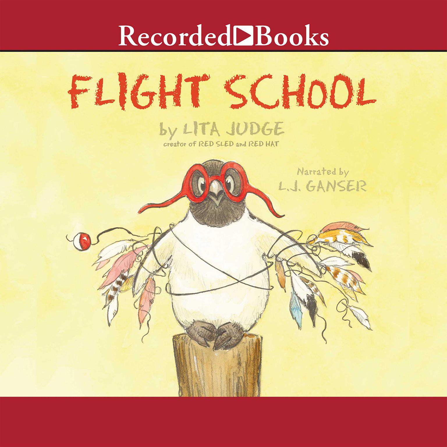 Flight School Audiobook, by Lita Judge