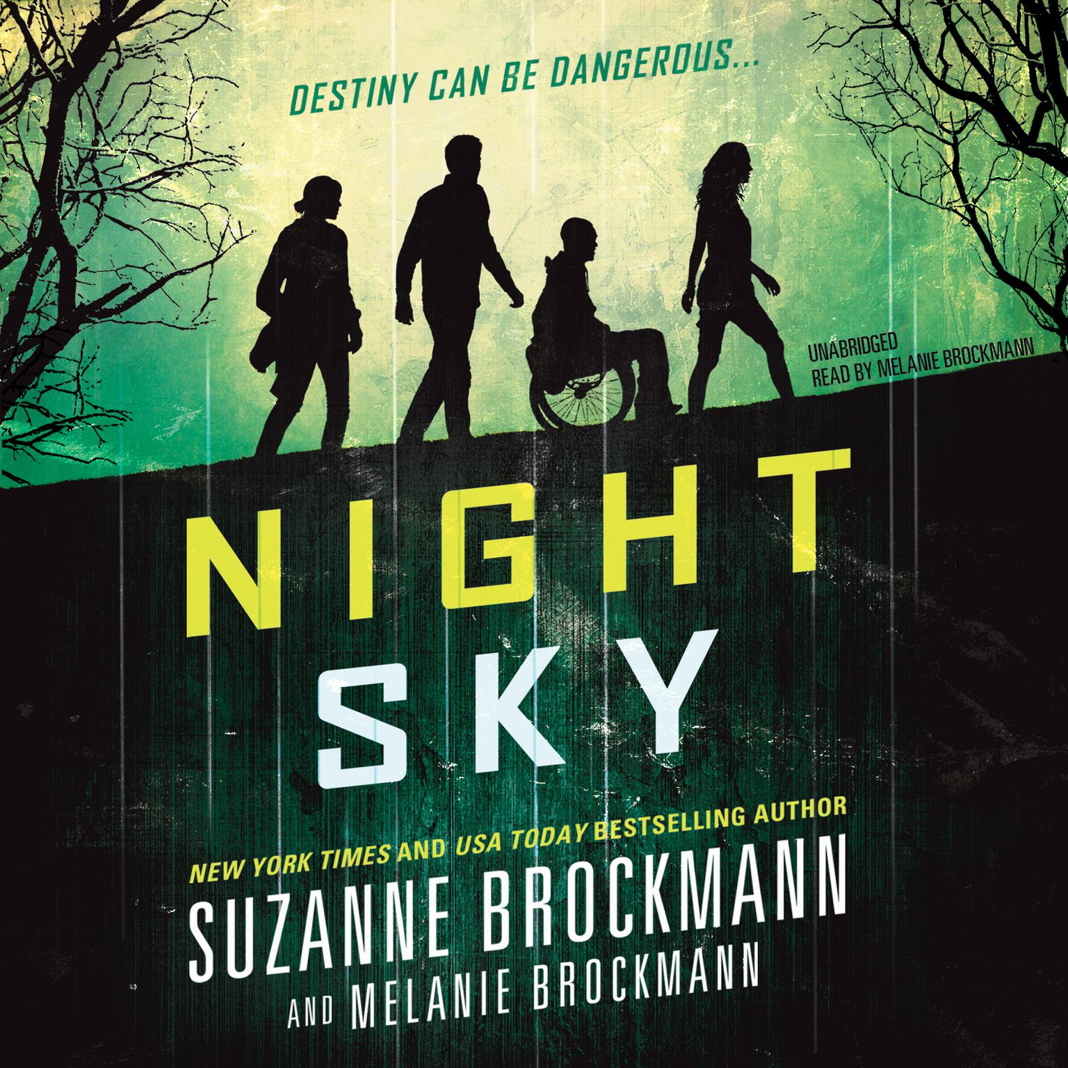 Night Sky Audiobook, by Suzanne Brockmann