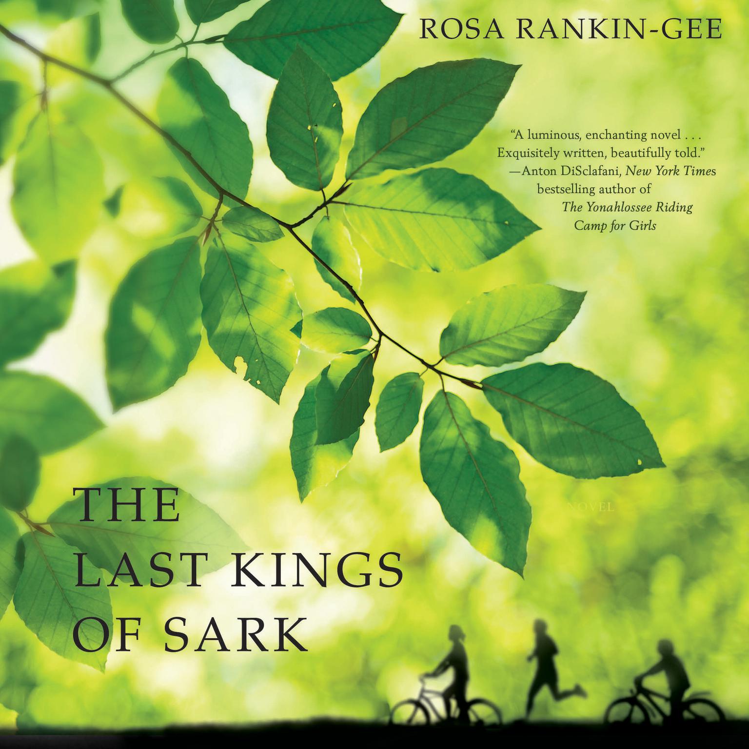 The Last Kings of Sark: A Novel Audiobook, by Rosa Rankin-Gee
