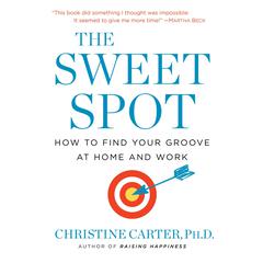 The Sweet Spot: How to Find Your Groove at Home and Work Audiobook, by Christine Carter