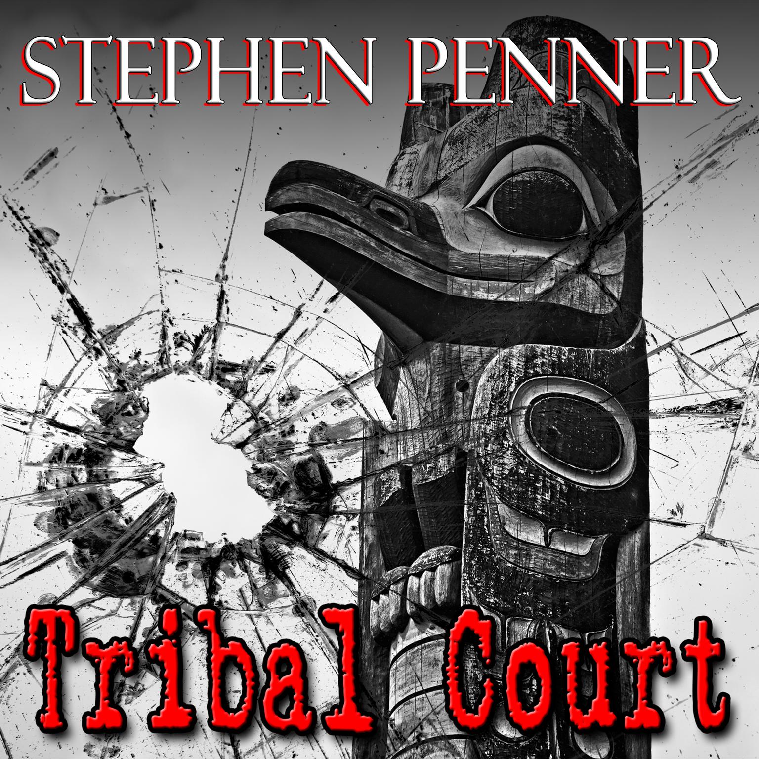 Tribal Court Audiobook, by Stephen Penner