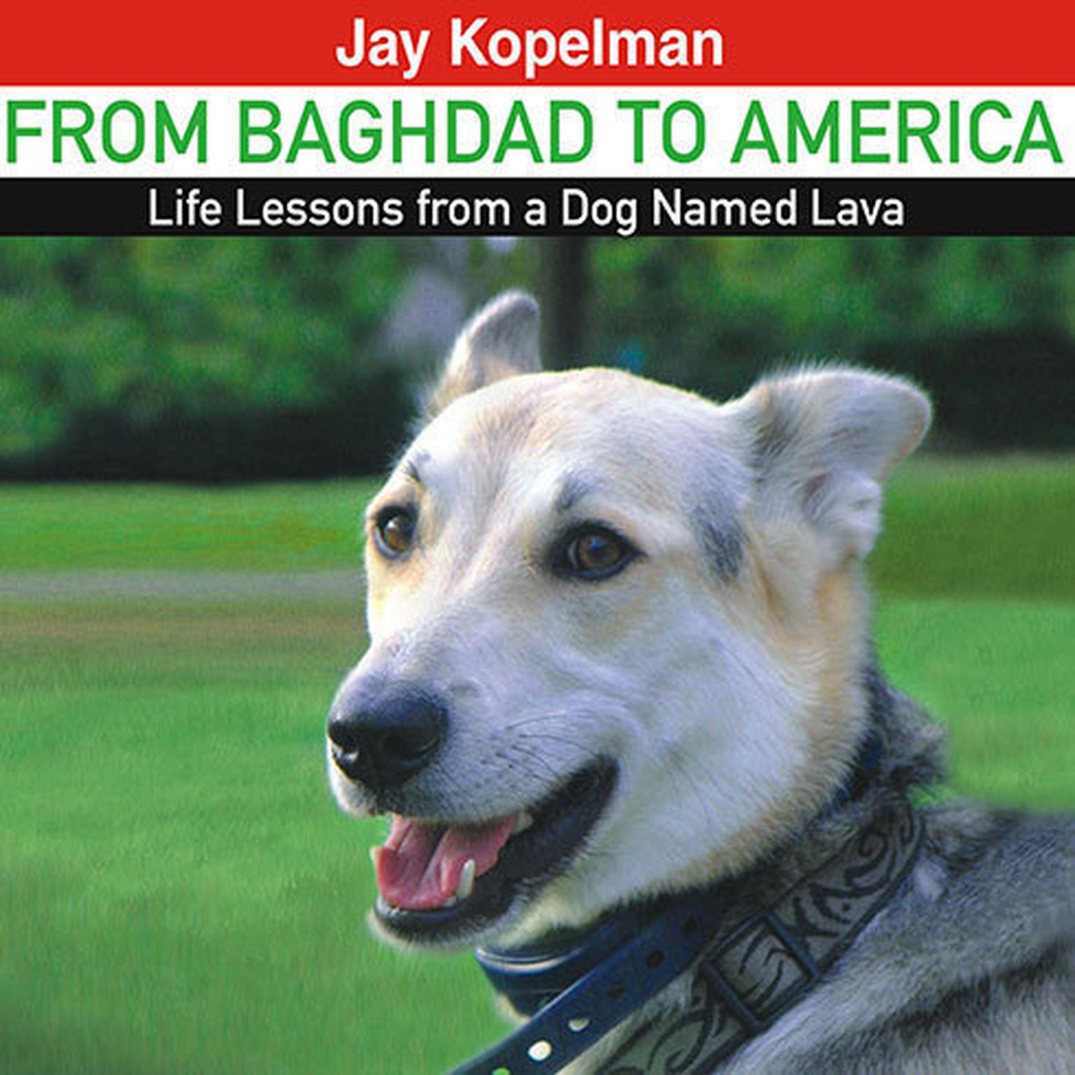 From Baghdad to America: Life Lessons from a Dog Named Lava Audiobook, by Jay Kopelman