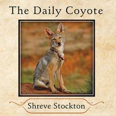 The Daily Coyote: A Story of Love, Survival, and Trust in the Wilds of Wyoming Audiobook, by Shreve Stockton