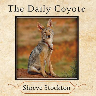 The Daily Coyote: A Story of Love, Survival, and Trust in the Wilds of Wyoming Audiobook, by Shreve Stockton