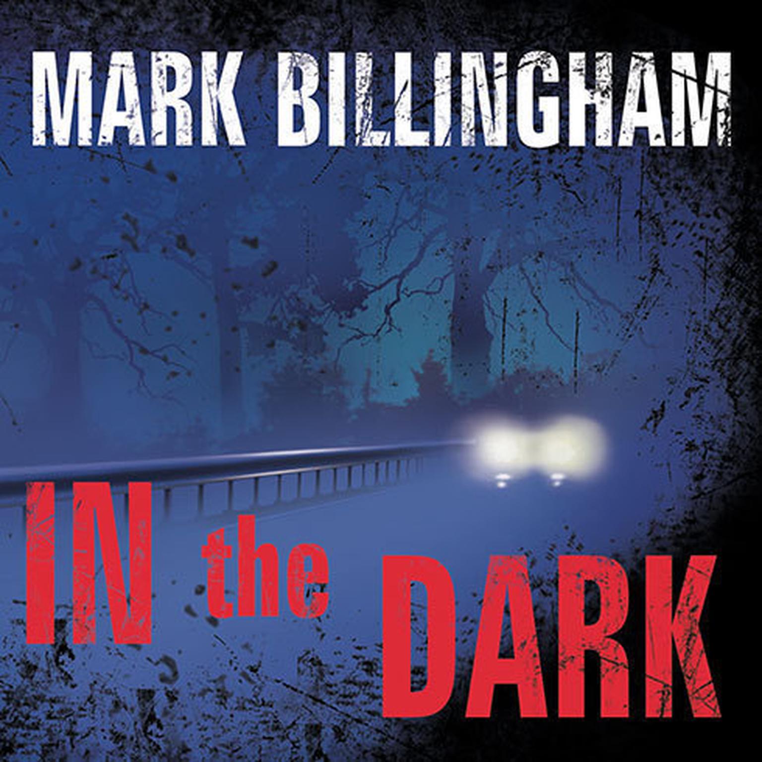 In the Dark: A Novel Audiobook, by Mark Billingham