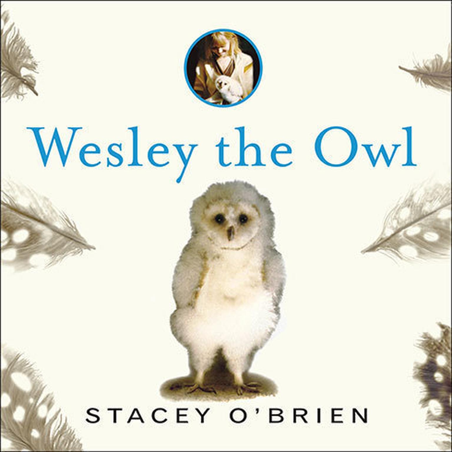 Wesley the Owl: The Remarkable Love Story of an Owl and His Girl Audiobook, by Stacey O’Brien