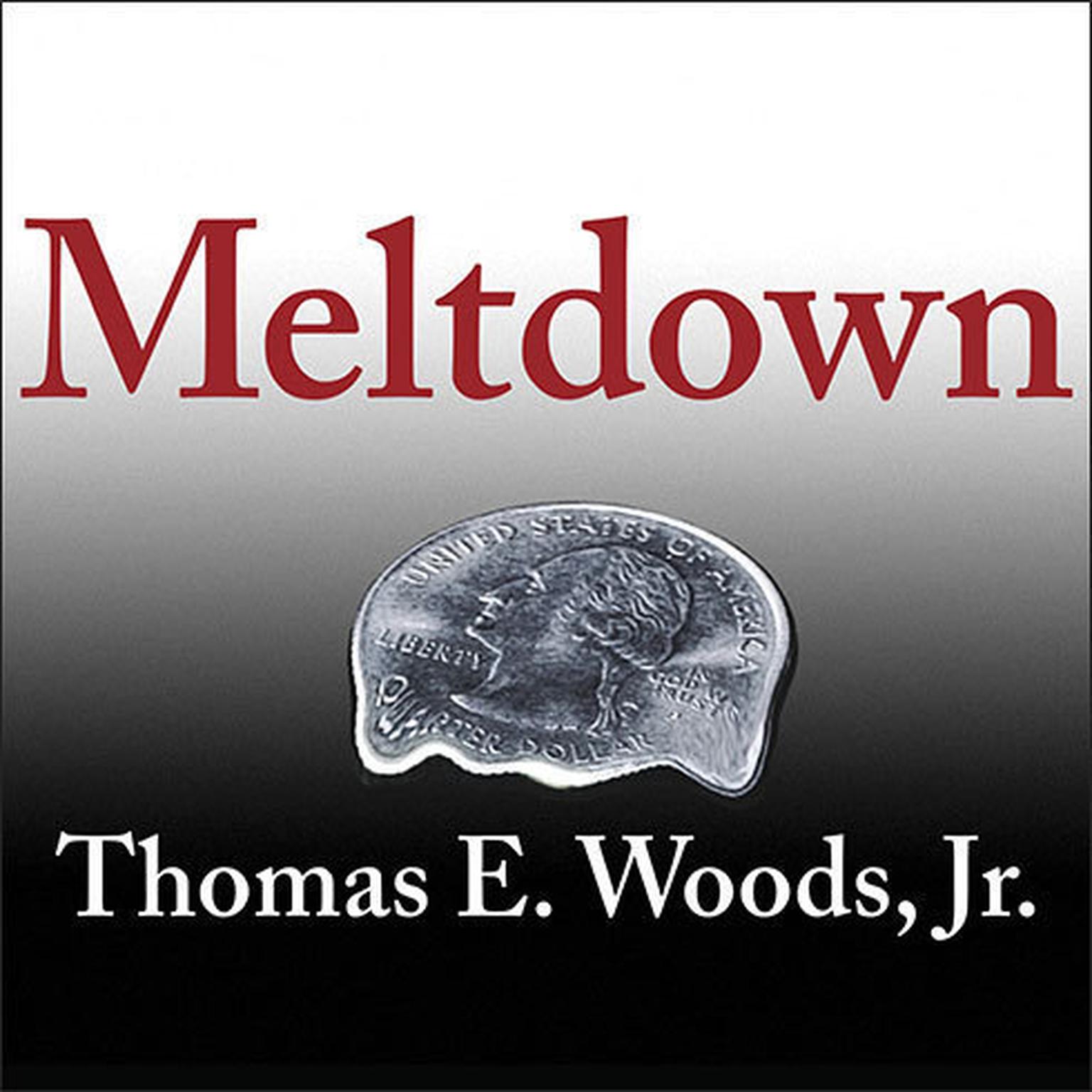 Meltdown: A Free-Market Look at Why the Stock Market Collapsed, the Economy Tanked, and Government Bailouts Will Make Things Worse Audiobook, by Thomas E. Woods