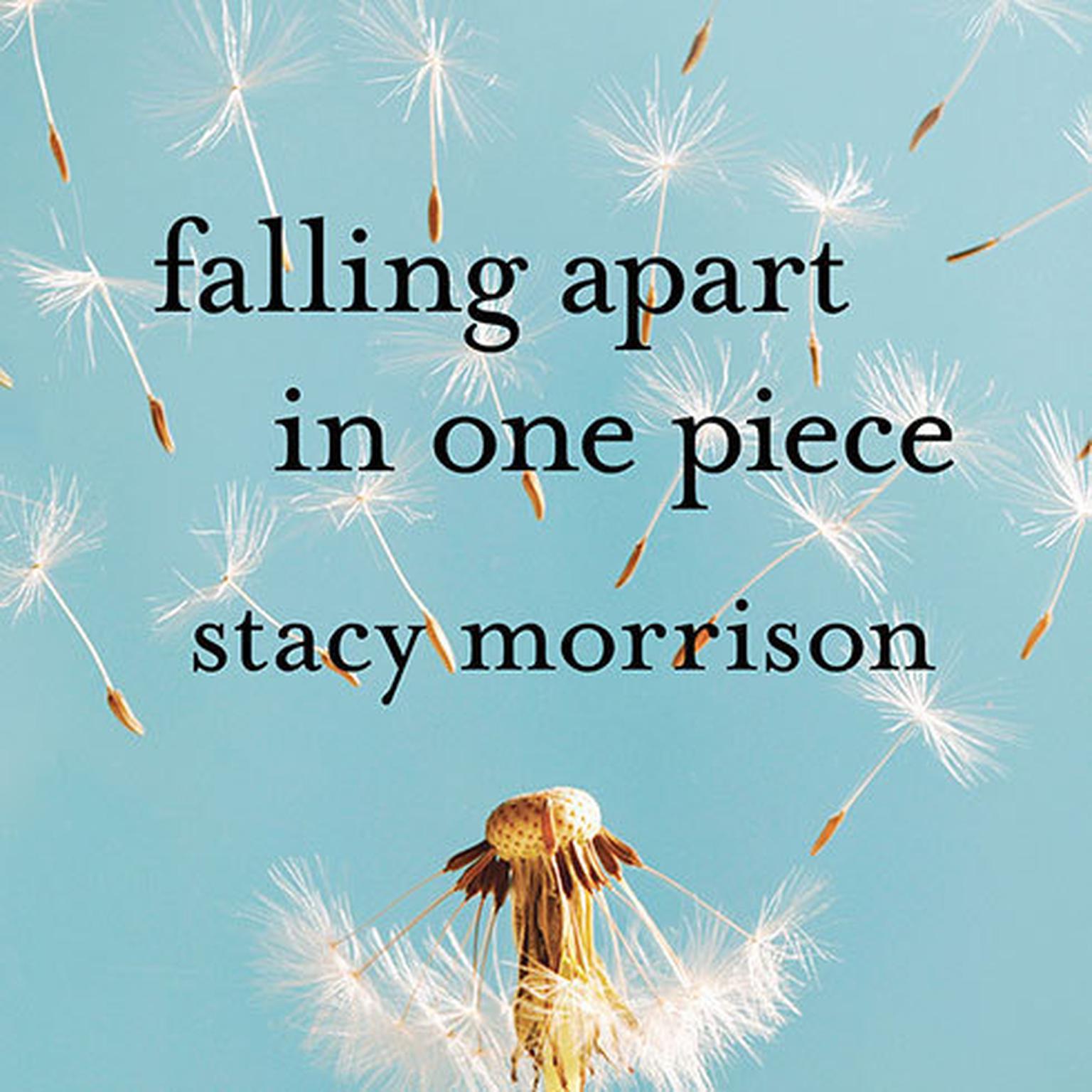 Falling Apart in One Piece: One Optimists Journey Through the Hell of Divorce Audiobook, by Stacy Morrison