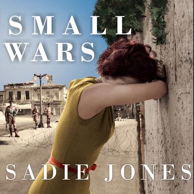 Small Wars: A Novel Audiobook, by Sadie Jones