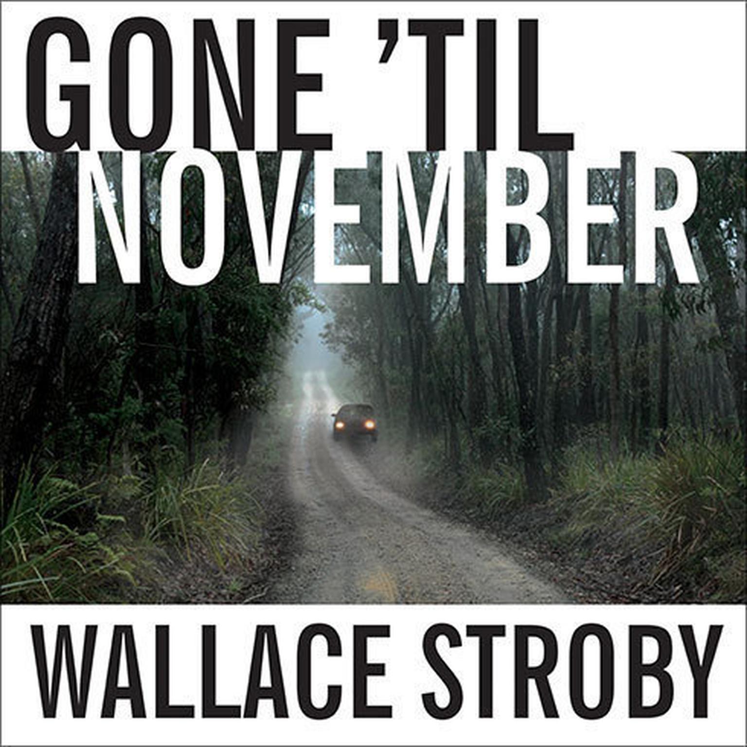 Gone til November: A Novel Audiobook, by Wallace Stroby