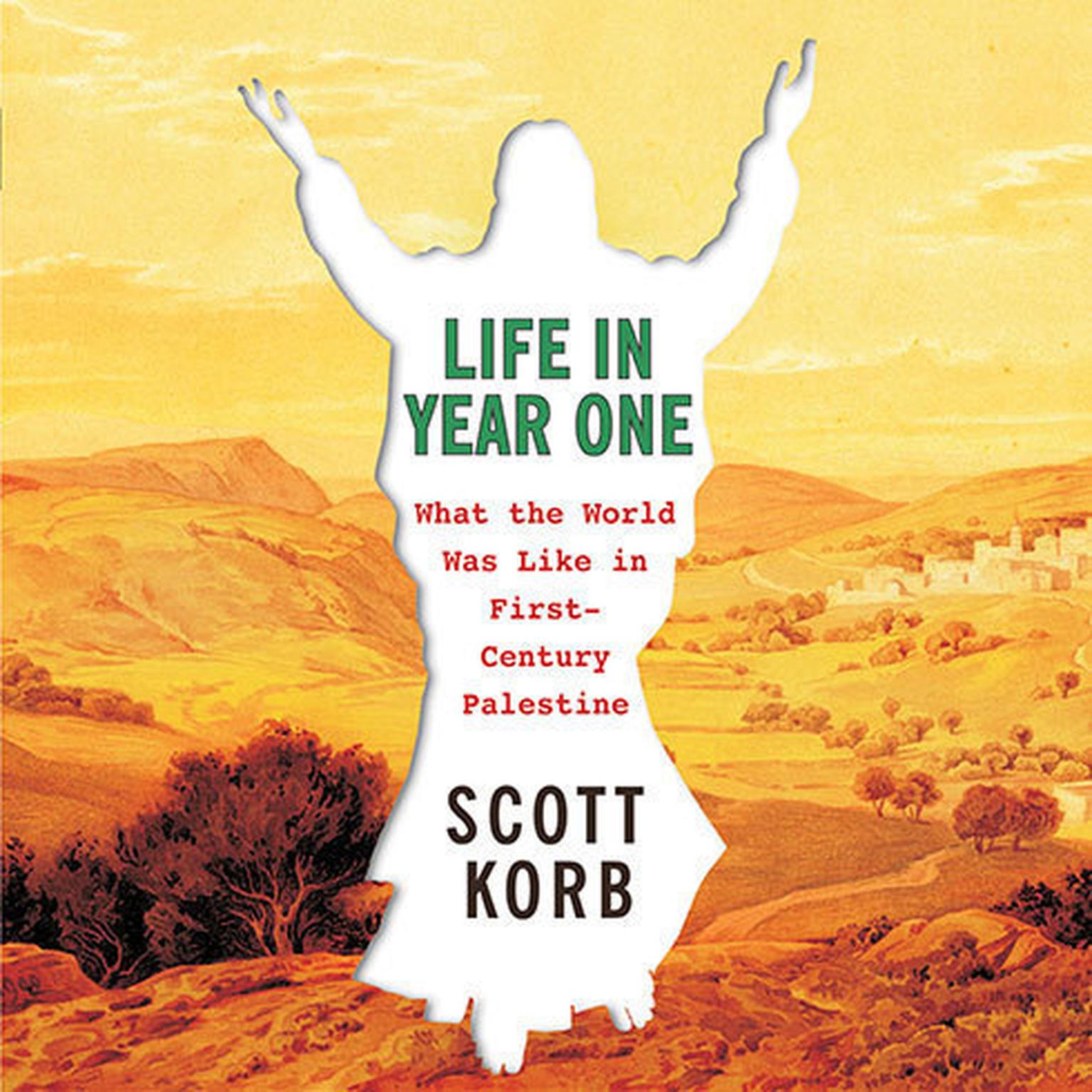 Life in Year One: What the World Was Like in First-Century Palestine Audiobook, by Scott Korb