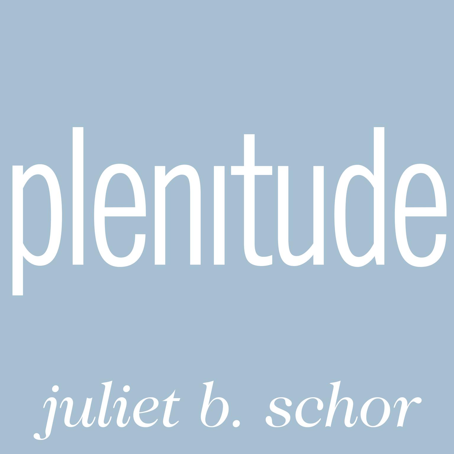 Plenitude: The New Economics of True Wealth Audiobook, by Juliet B. Schor