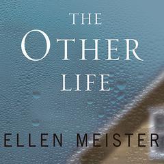 The Other Life Audiobook, by Ellen Meister