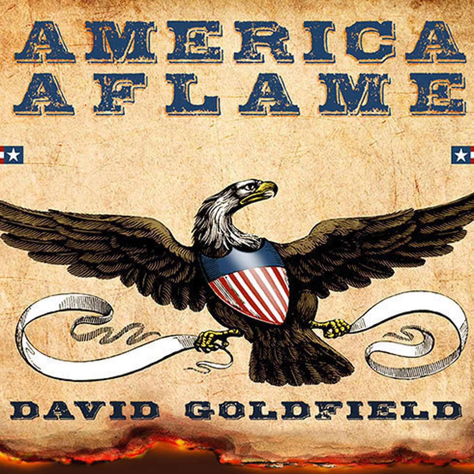 America Aflame: How the Civil War Created a Nation Audiobook, by David Goldfield