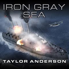Destroyermen: Iron Gray Sea Audiobook, by Taylor Anderson