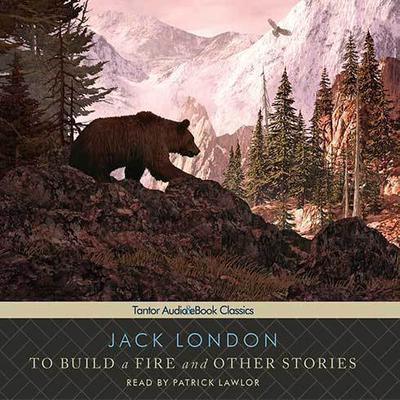 To Build a Fire and Other Stories  Audiobook, by Jack London
