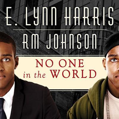 No One in the World: A Novel Audiobook, by E. Lynn Harris