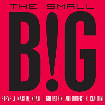 The Small Big: Small Changes That Spark Big Influence Audiobook, by 