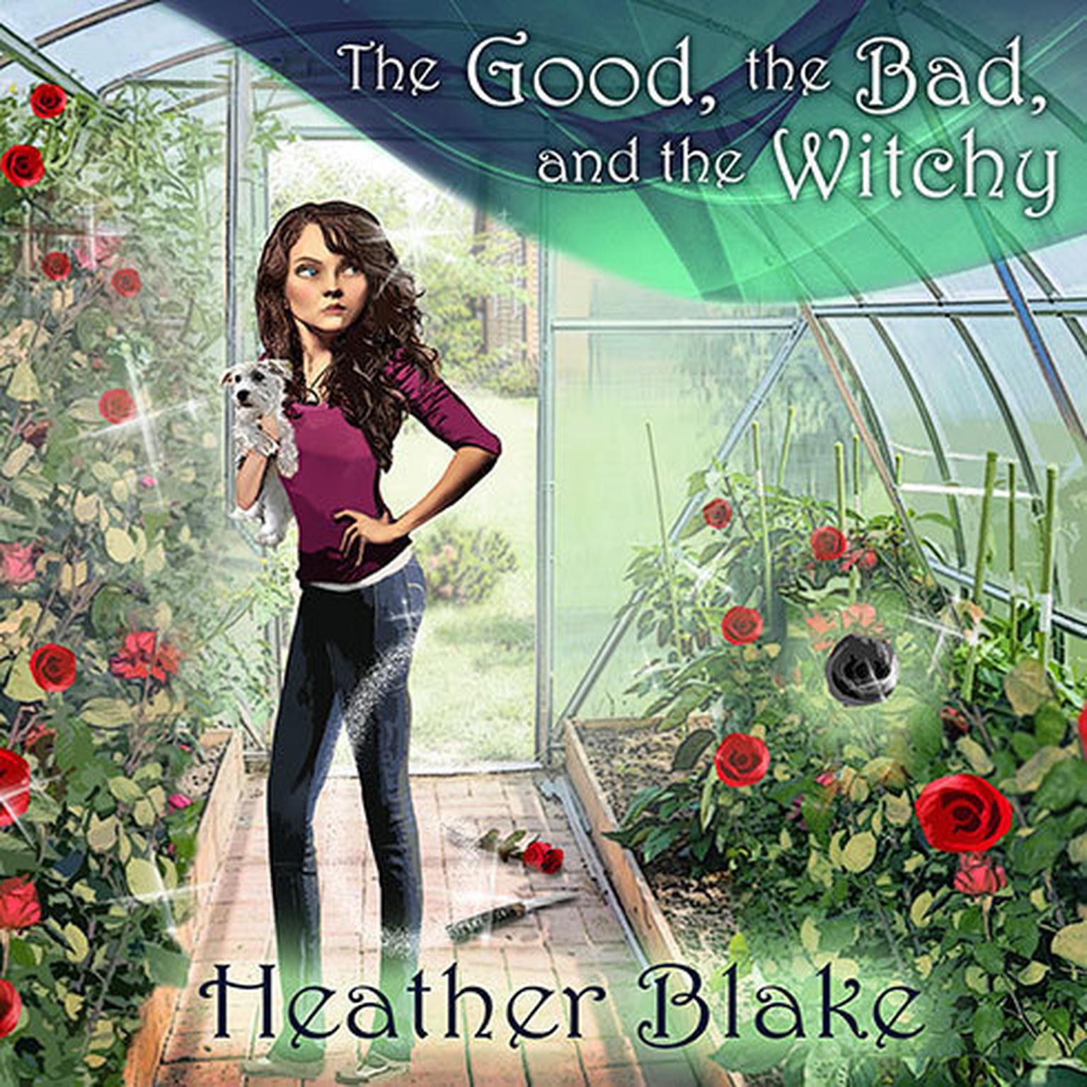 The Good, the Bad, and the Witchy: A Wishcraft Mystery Audiobook, by Heather Blake