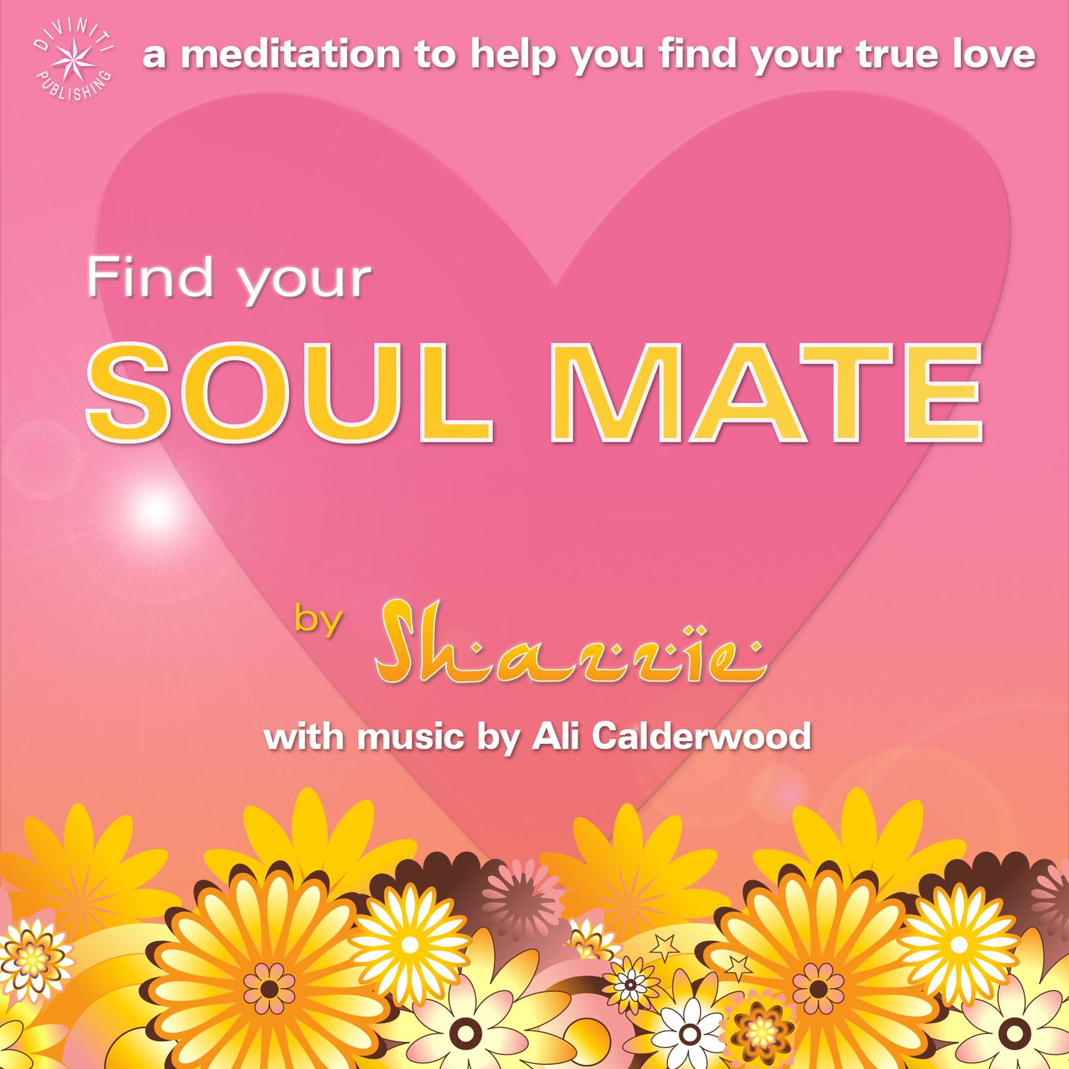 Find Your Soul Mate Audiobook, by Shazzie