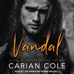Vandal Audiobook, by Carian Cole