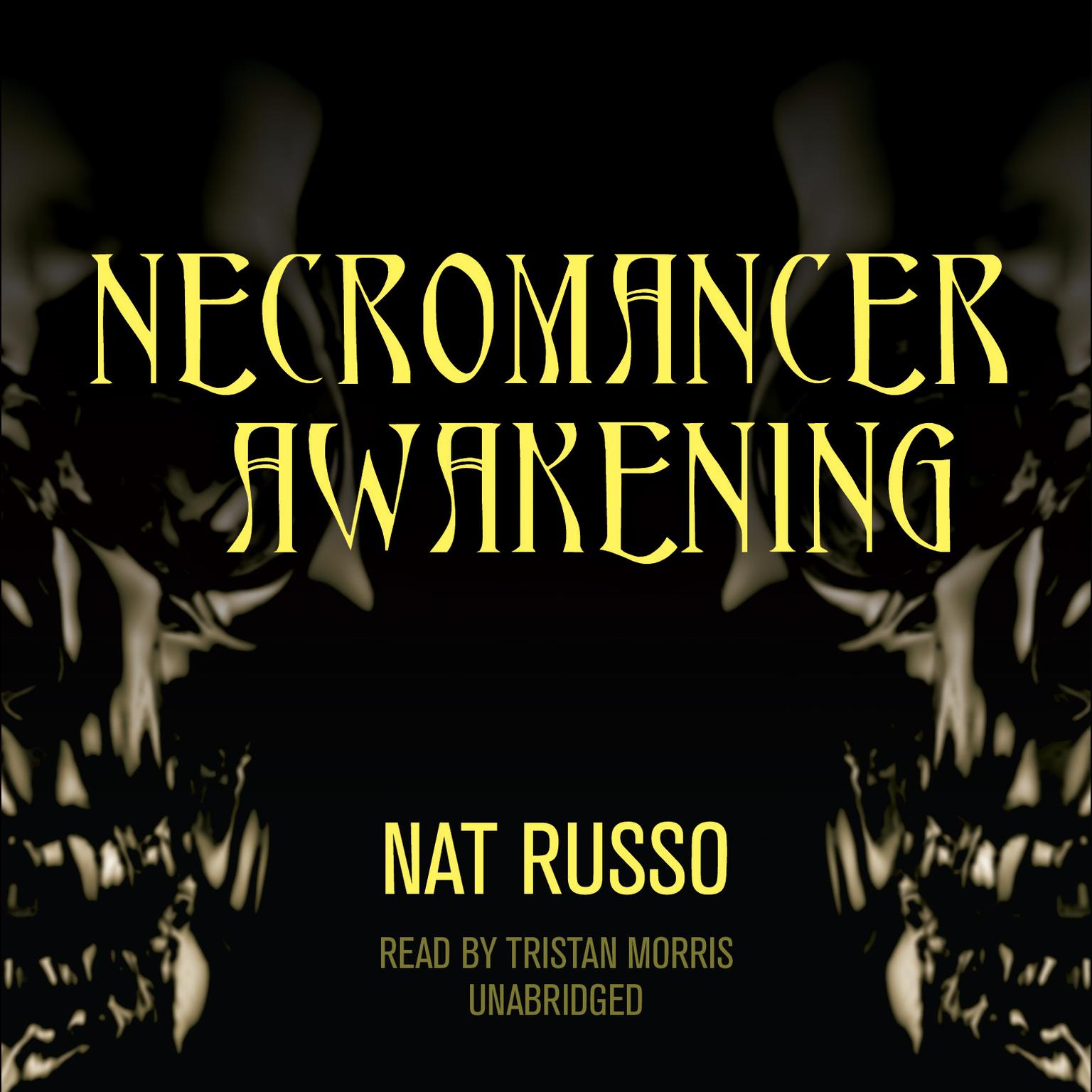 Necromancer Awakening: Book One of the Mukhtaar Chronicles Audiobook, by Nat Russo