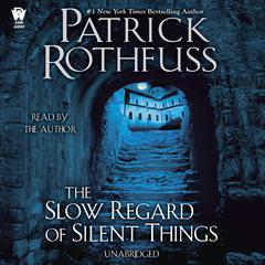 The Slow Regard of Silent Things Audiobook, by Patrick Rothfuss